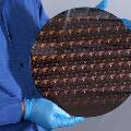 Специалисты IBM представили новый 2-нанометровый техпроцесс для создания чипов