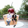 В киевском парке появилась скамейка-капкейк