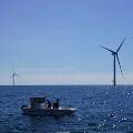 Дания использует ветряные электростанции в море для производства морепродуктов