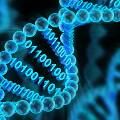 Хранение информации в ДНК