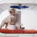 Samsung презентовала собачью будку класса 