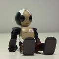 В Швейцарии разработали прототип съедобного робота