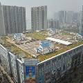 В Китае на крыше торгового комплекса появились дома-паразиты