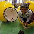 Японцы создали капсулу для эвакуации во время цунами