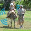 В тематическом парке в Израиле ослов оснастили Wi-Fi