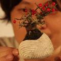 Японцы создали платформу для левитации растений