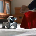 Loona: самый милый робот в мире