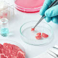 В Италии запретили мясо, выращенное в лаборатории