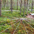 В лесах Норвегии появилась стальная паутина