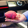 Ученые научились печатать человеческие органы на принтере и обещают спасти сотни тысяч жизней