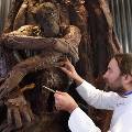 В Париже построили 15-метровое шоколадное дерево со сценой из «Планеты обезьян»