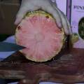 Коста-Рика решила накормить весь мир розовыми ананасами