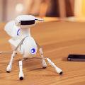 Китайский стартап собирает средства на производство обучающего робота-муравья