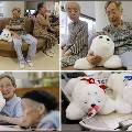 Домашние питомцы для японских пенсионеров
