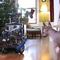 Инженер Microsoft создал робота для игры с собакой
