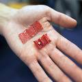 Робот-оригами будет извлекать чужеродные предметы из желудка
