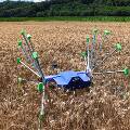 Робот катается по полям и обследует урожай