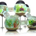 Изобретён самоочищающийся аквариум