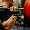 В США создали синтетические мышцы, которые могут поднимать тяжести
