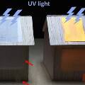 Учёные изобрели люминесцентную древесину, излучающую свет