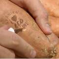 В Швеции делают татуировки овощам и фруктам