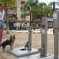 В Испании появились общественные туалеты для собак