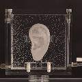 «Живая копия» уха Ван Гога выставлена в музее