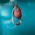 Японцы создали минипомпу, способную заменить сердце