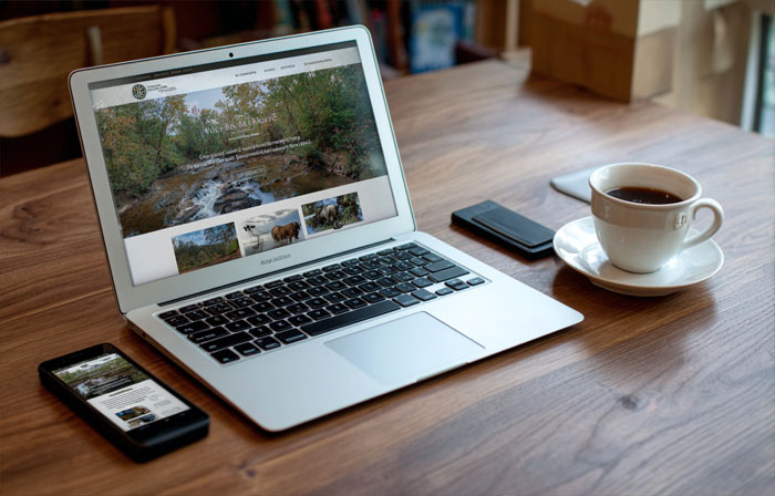 Почему пользуются популярностью сайты на WordPress