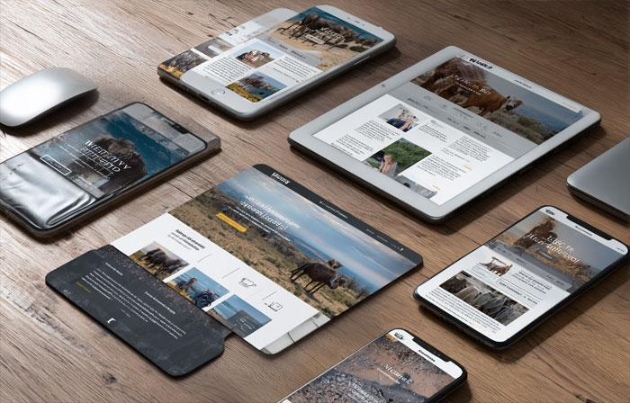 Почему пользуются популярностью сайты на WordPress