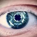 Исследователям удалось объединить человеческое зрение и искусственный интеллект