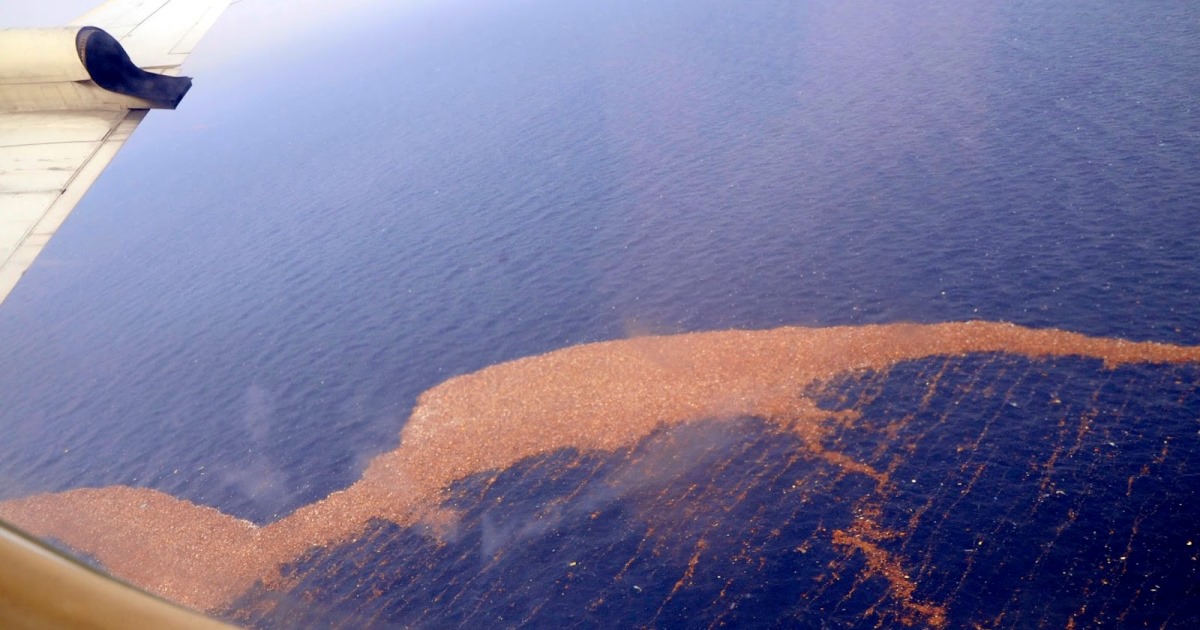 Мусорный остров в тихом океане со спутника
