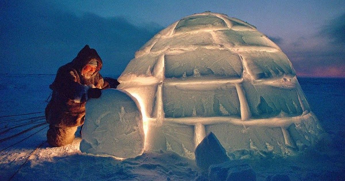 Igloo Igloo