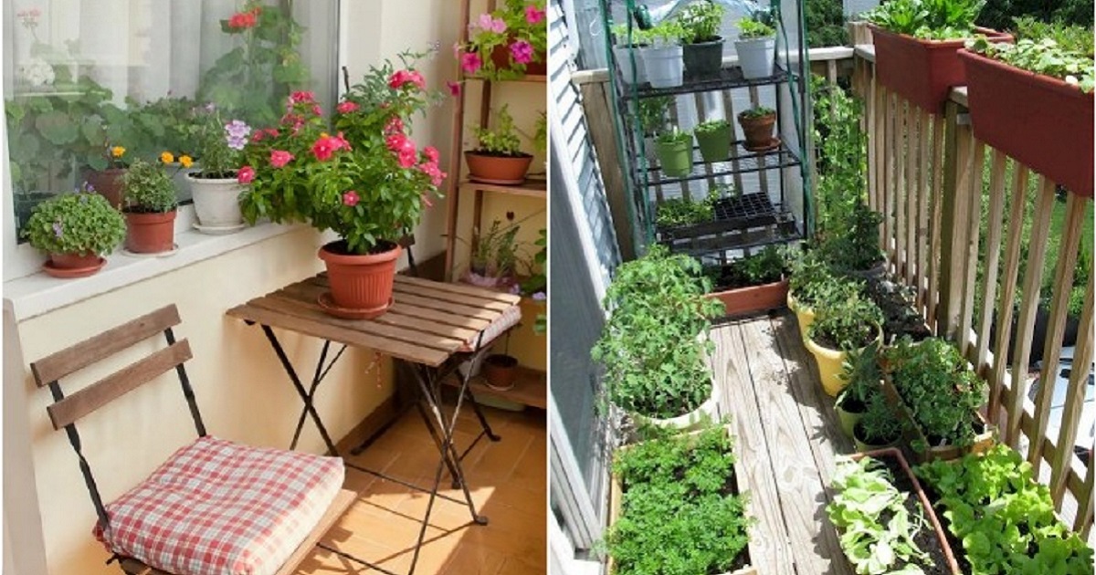 Как сделать из балкона сад: 7 вариантов